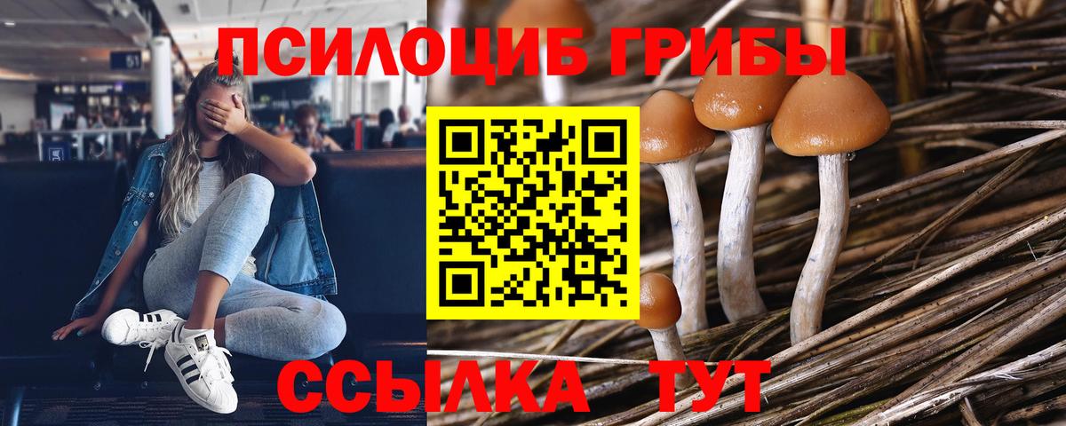 Волгодонск  Псилоцибиновые грибы Cubensis  Псилоцибиновые грибы мицелий  Вход с VPN 